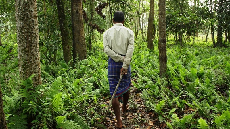 Forest Resource Rights And Land Rights As Per Forest Rights Act SabrangIndia